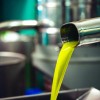 Olive Oil